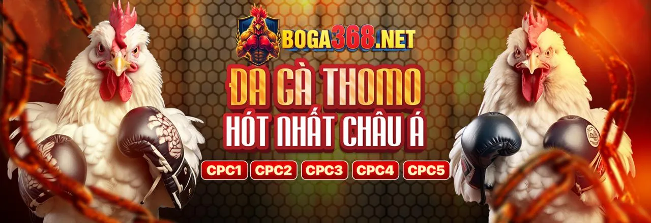 Gói chào mừng đăng ký thành viên mới shbet org