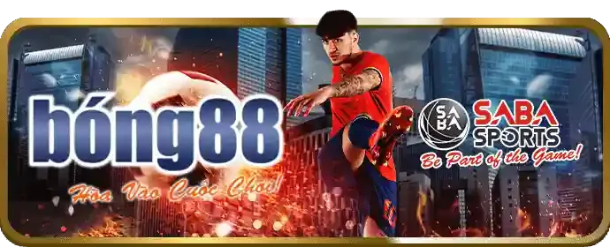 Giấy phép hoạt động và đối tác của Lucky 8